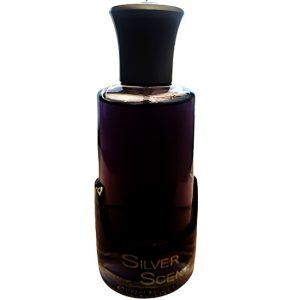Silver Scent Intense Luca Bossi For Men Edt - 100ml - ادوتویلت مردانه لوکا باسی مدل سیلور سنت اینتنس